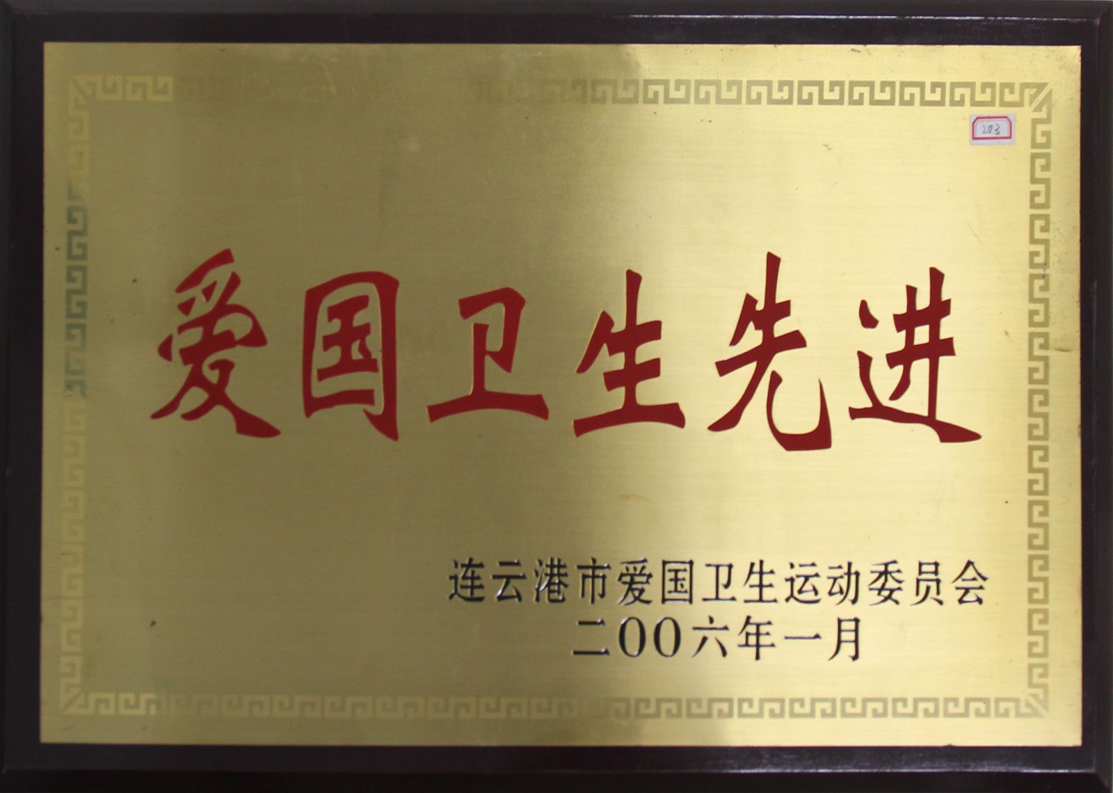 公司榮獲“2006年愛國衛(wèi)生先進(jìn)”稱號